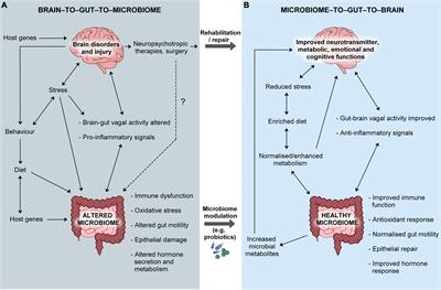 Importance of good hosting: reviewing the bi-directionality of the microbiome-gut-brain-axis